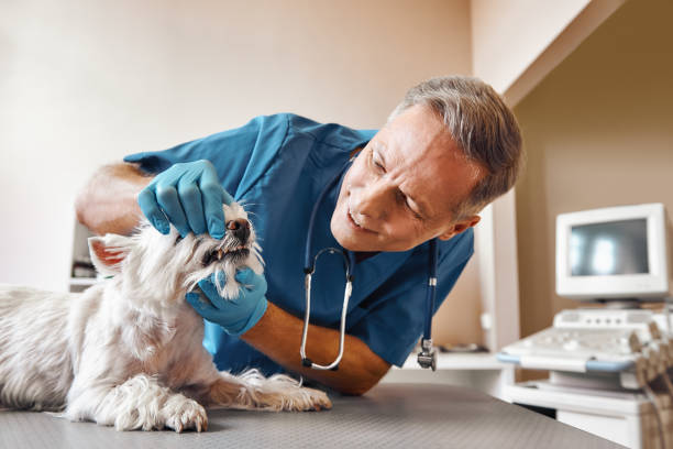 Best Emergency Dental Surgery in Ponce Inlet, FL